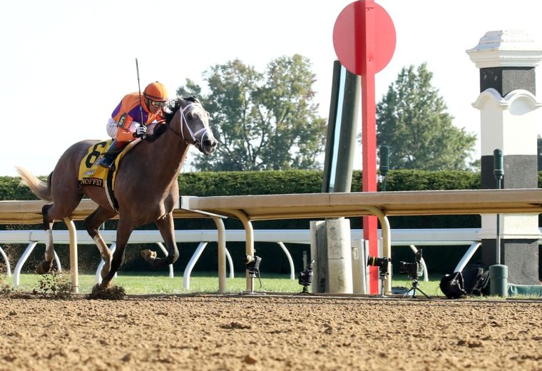 Ted Noffey - Coady Media US - Keeneland