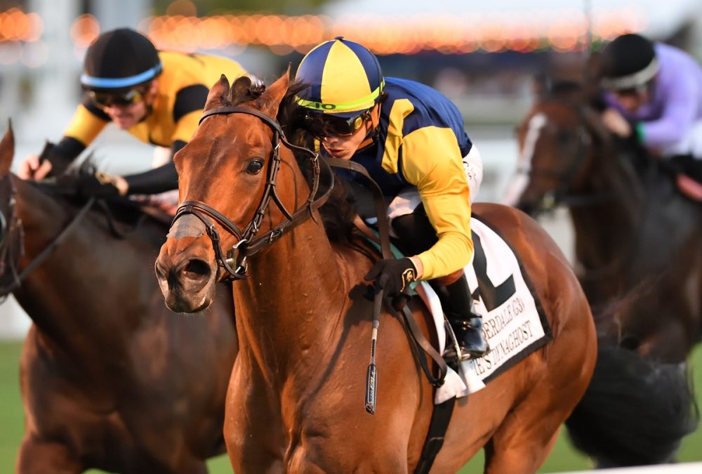 Wolfies Dynaghost - the Fort Lauderdale - credit Ryan Thompson - Coglianese Photo