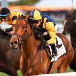 Wolfies Dynaghost - the Fort Lauderdale - credit Ryan Thompson - Coglianese Photo