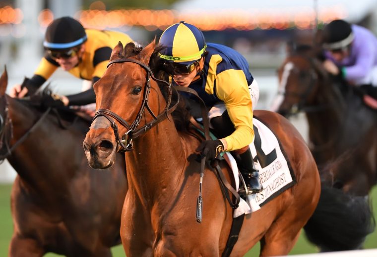 Wolfies Dynaghost - the Fort Lauderdale - credit Ryan Thompson - Coglianese Photo