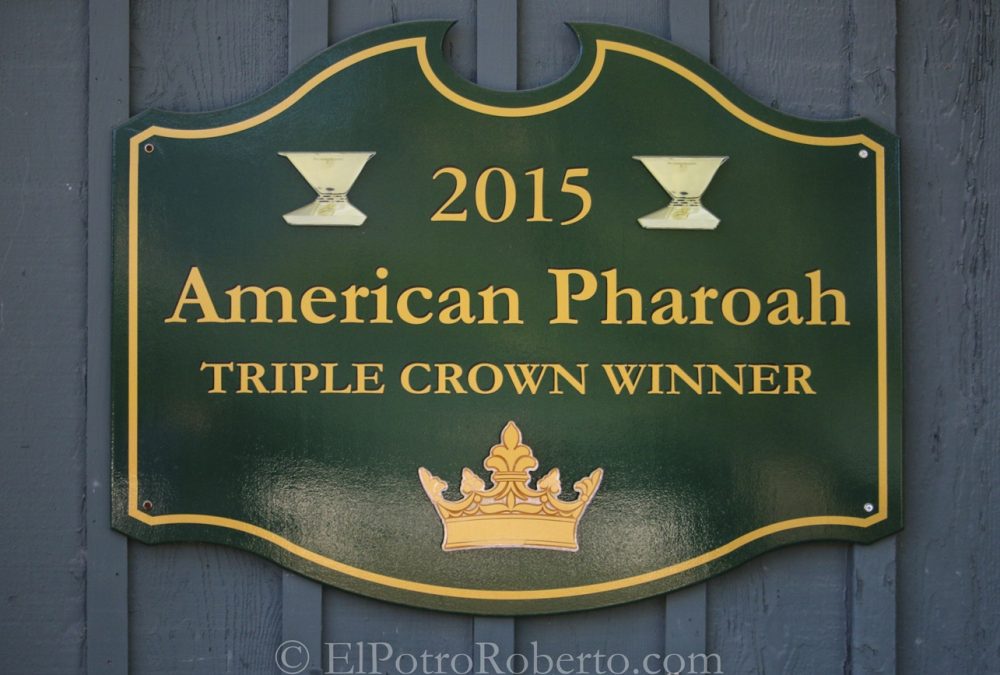 American Pharoah - barn - ElPotroRoberto