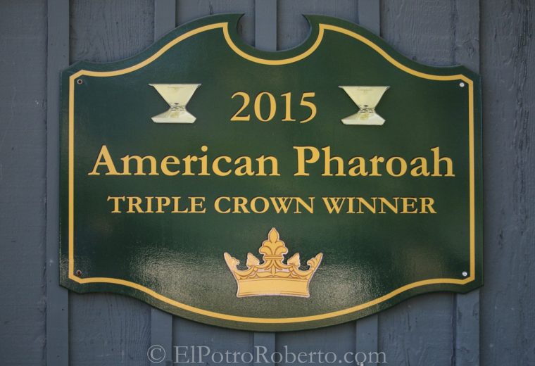 American Pharoah - barn - ElPotroRoberto