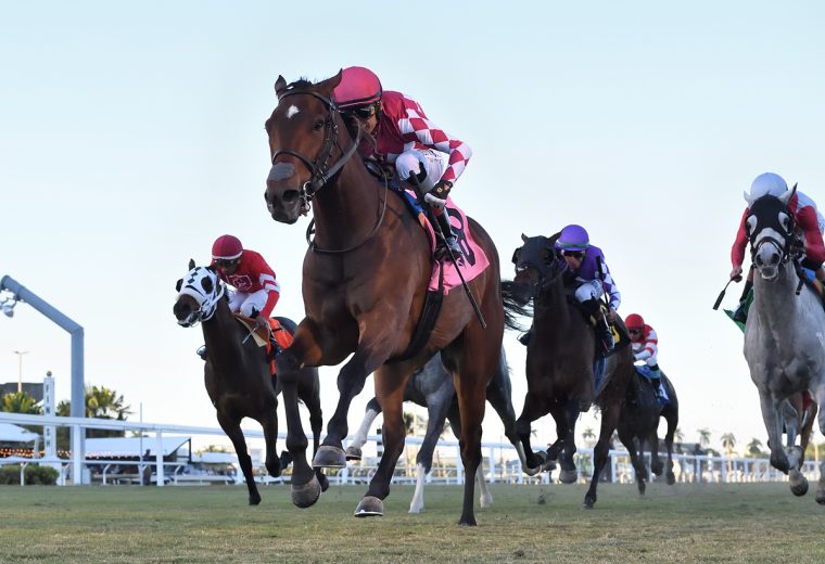 Alpyland the Dania Beach - credit Ryan Thompson - Coglianese Photo