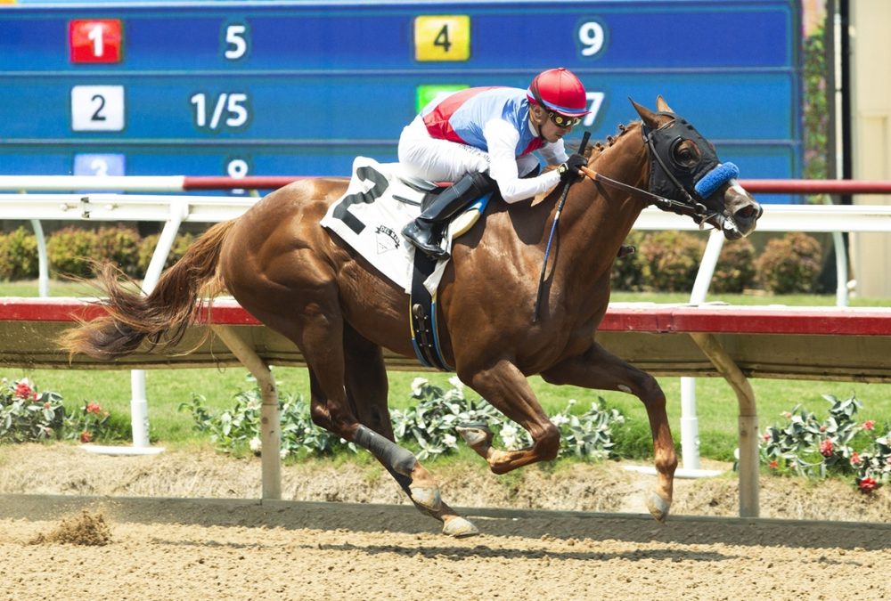 Buetane – Benoit Photo CA