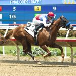 Buetane – Benoit Photo CA