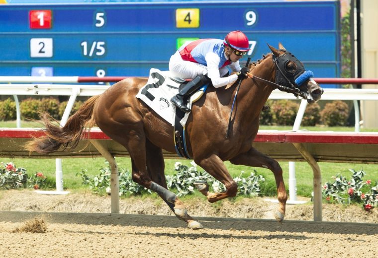 Buetane – Benoit Photo CA