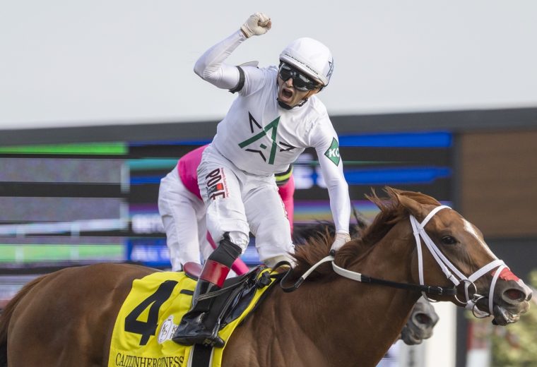 Caitlinhergrtness - Michael Burns Photo