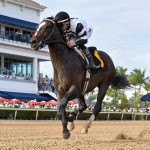 Chief Wallabee – Ryan Thompson – Coglianese Photo