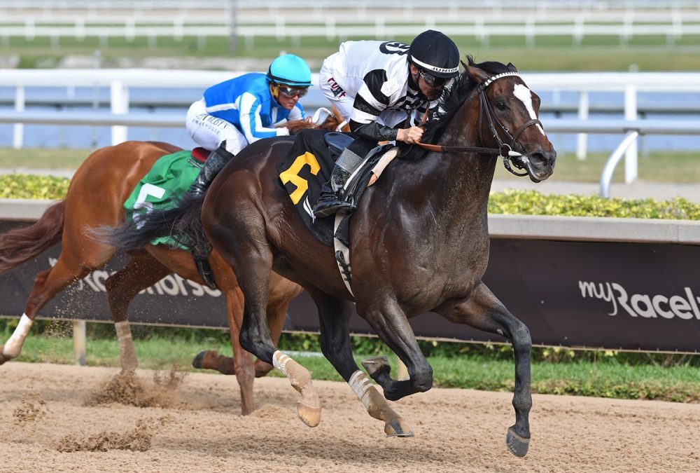 Chief Wallabee – Ryan Thompson – Coglianese Photo