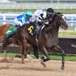 Chief Wallabee – Ryan Thompson – Coglianese Photo