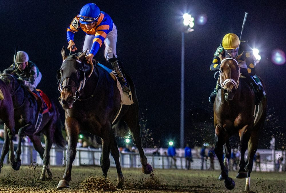 Chip Honcho - Hodges Photography - Fair Grounds