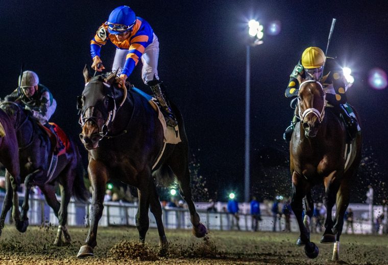 Chip Honcho - Hodges Photography - Fair Grounds