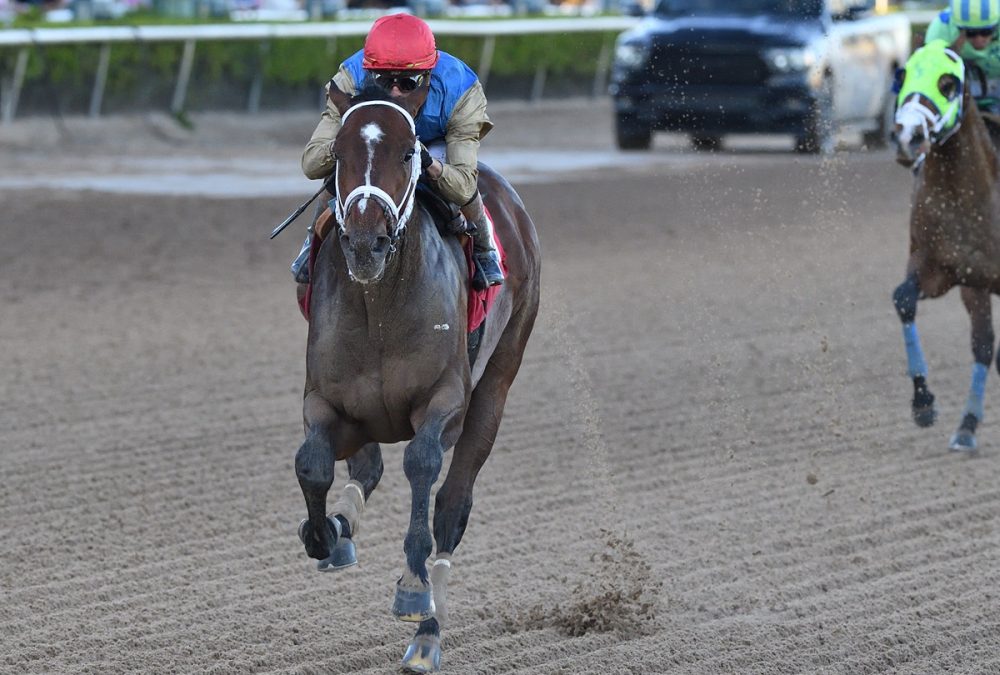 Commandment - the Mucho Macho Man - credit Ryan Thompson - Coglianese Photo