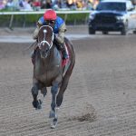 Commandment - the Mucho Macho Man - credit Ryan Thompson - Coglianese Photo