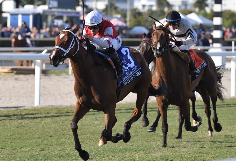 Destino DOro the Pegasus Filly Mare Turf credit Ryan Thompson