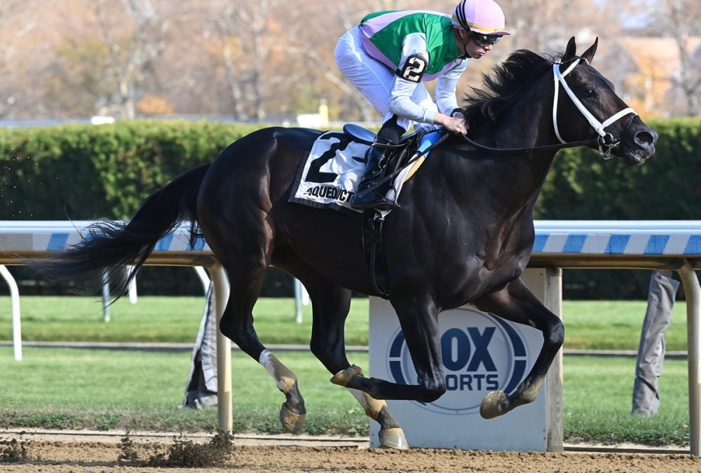 Disco Time - Coglianese Photo