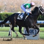 Disco Time - Coglianese Photo