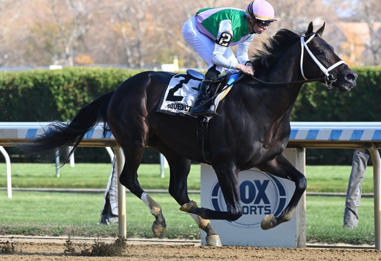 Disco Time - Coglianese Photo