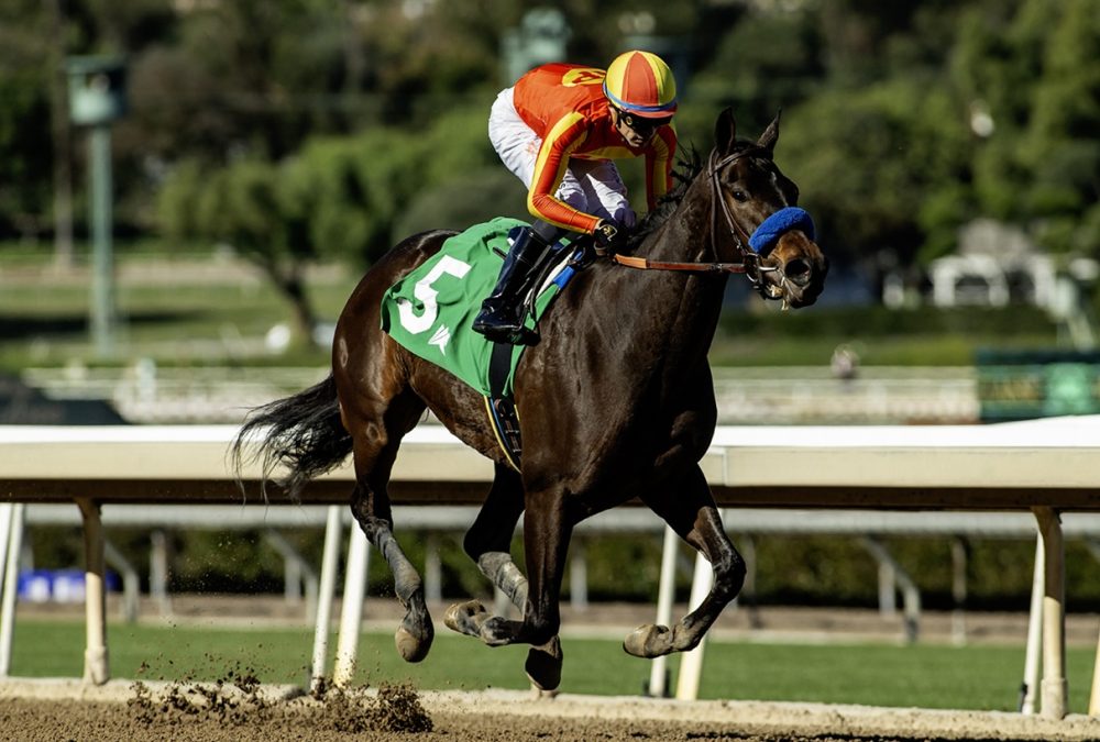 Explora - Santa Ynez Stakes - Benoit Photo