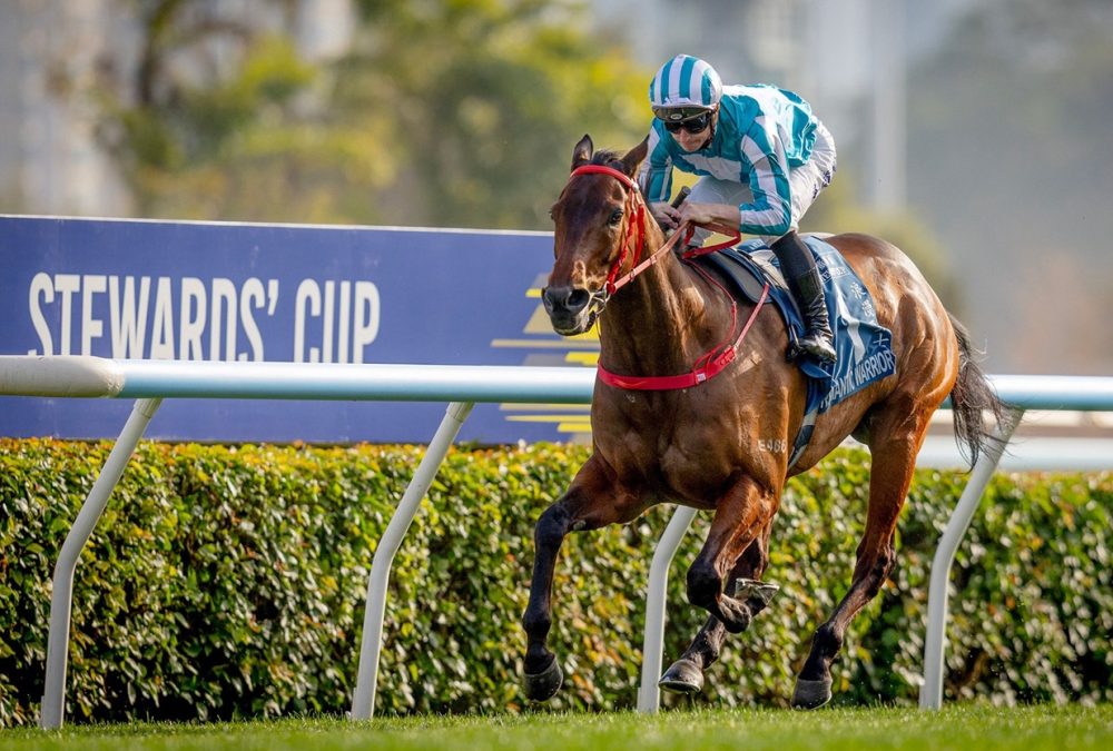 Romantic Warrior – Stewards’ Cup – photo credit Hong Kong Jockey Club
