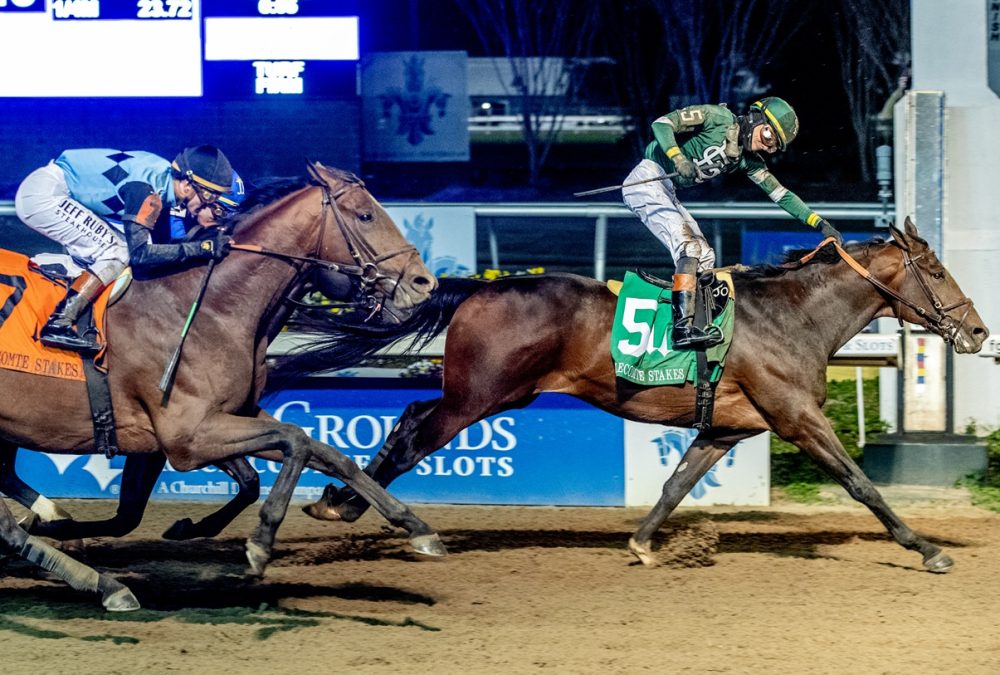 Golden Tempo – Hodges Photography – Fair Grounds Race Course
