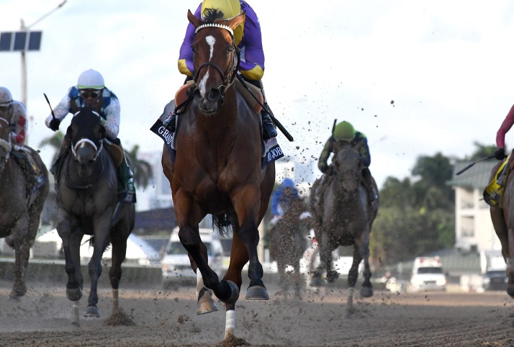 Grand Job the Inside Information - Coglianese Photo