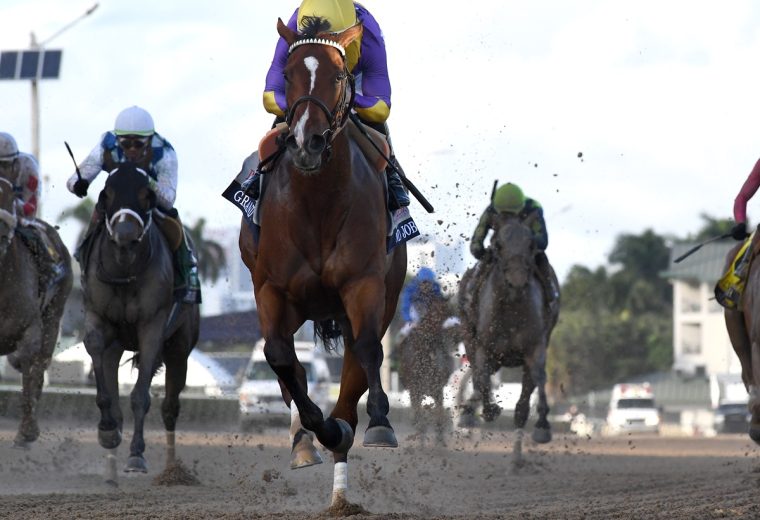 Grand Job the Inside Information - Coglianese Photo