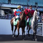 Ka Ying Rising – Hong Kong Sprint G1 – Foto credito Hong Kong Racing