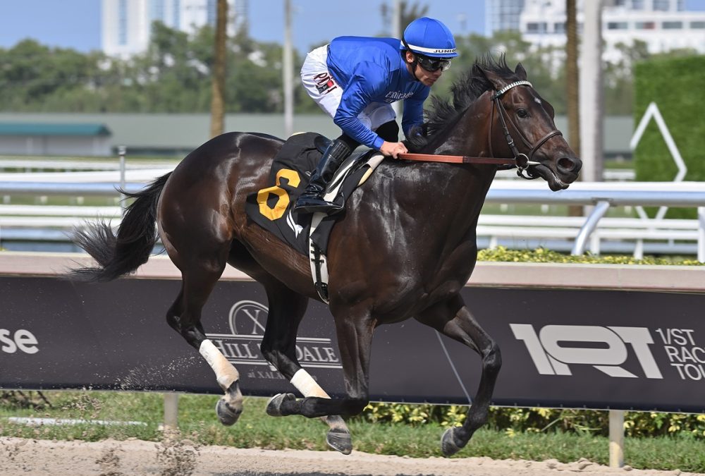 Knightsbridge credit Lauren King - Coglianese Photo