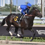 Knightsbridge credit Lauren King - Coglianese Photo