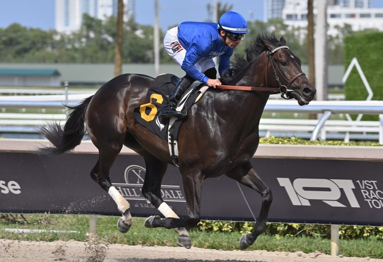 Knightsbridge credit Lauren King - Coglianese Photo