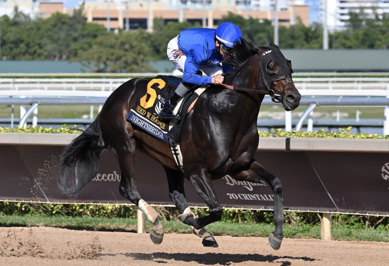 Knightsbridge the Fred Hooper credit Lauren King