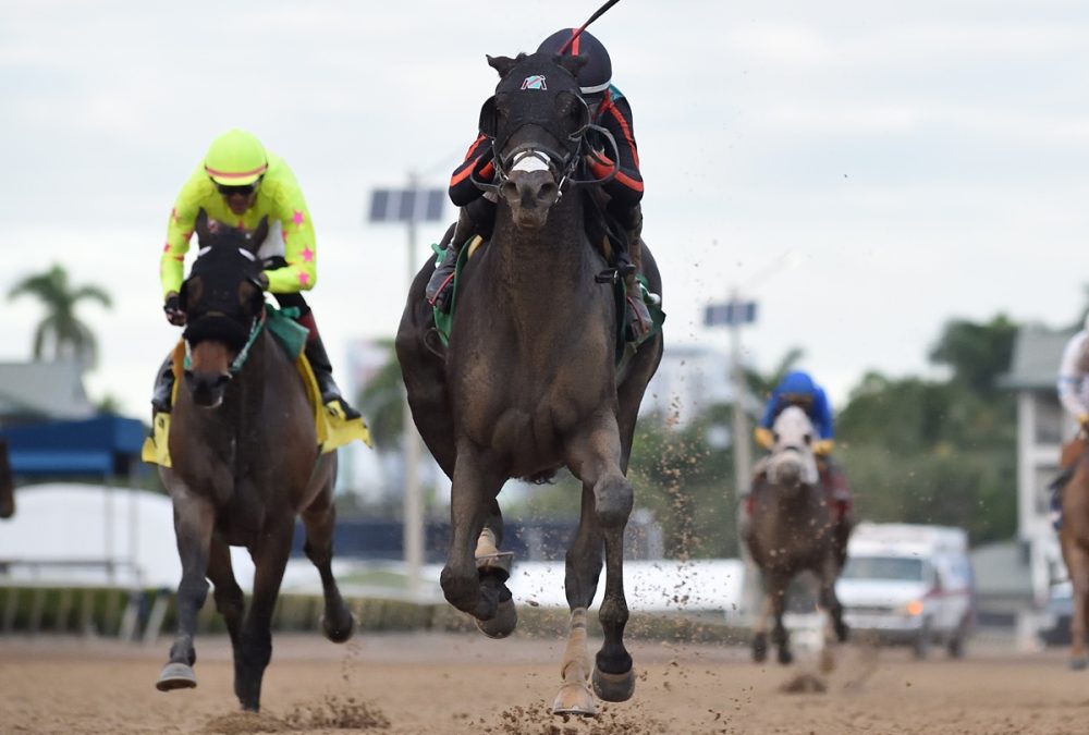 Lightning Tones the Sunshine Classic credit Ryan Thompson - Coglianese Photo