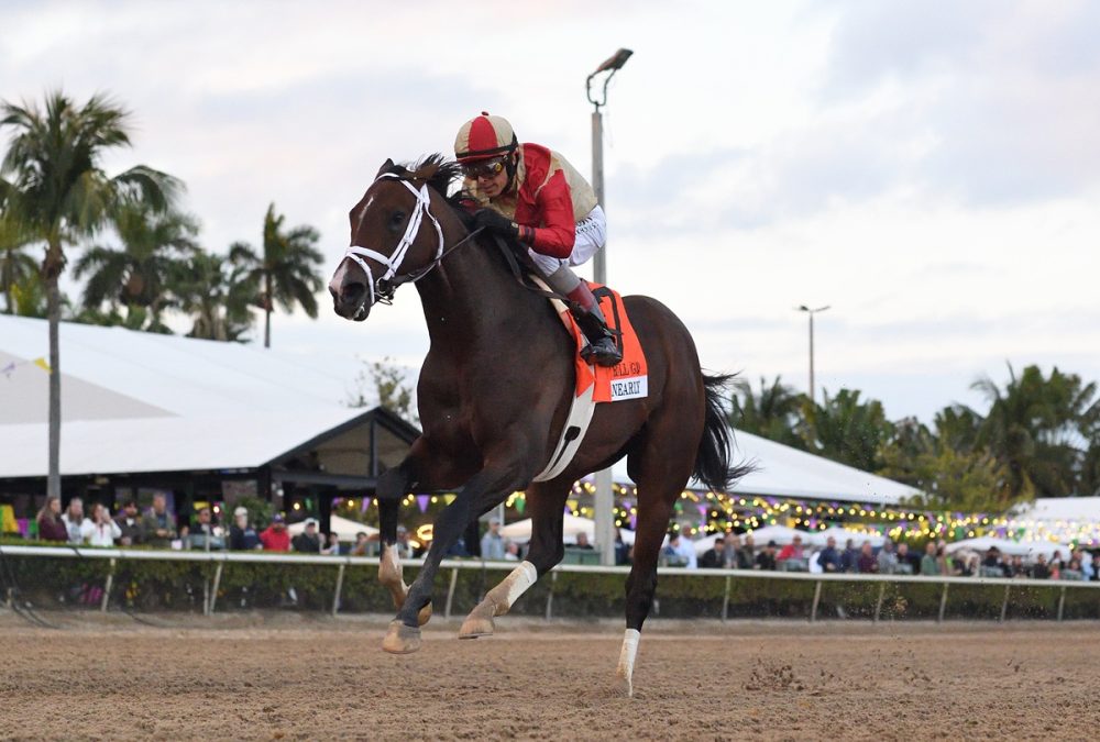 Nearly the Holy Bull credit Ryan Thompson -Coglianese Photo