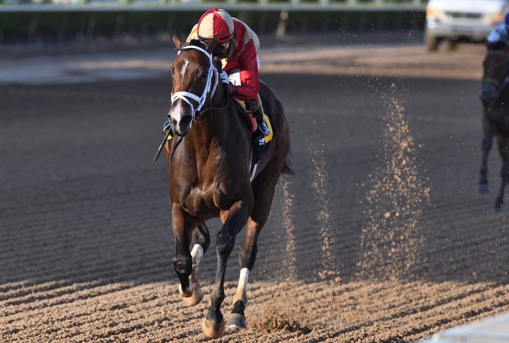 Nearly - Ryan Thompson - Coglianese Photo