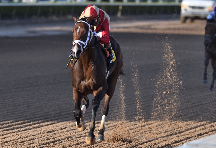 Nearly - Ryan Thompson - Coglianese Photo