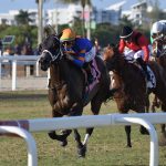 Neoequos the Sunshine Turf credit Ryan Thompson