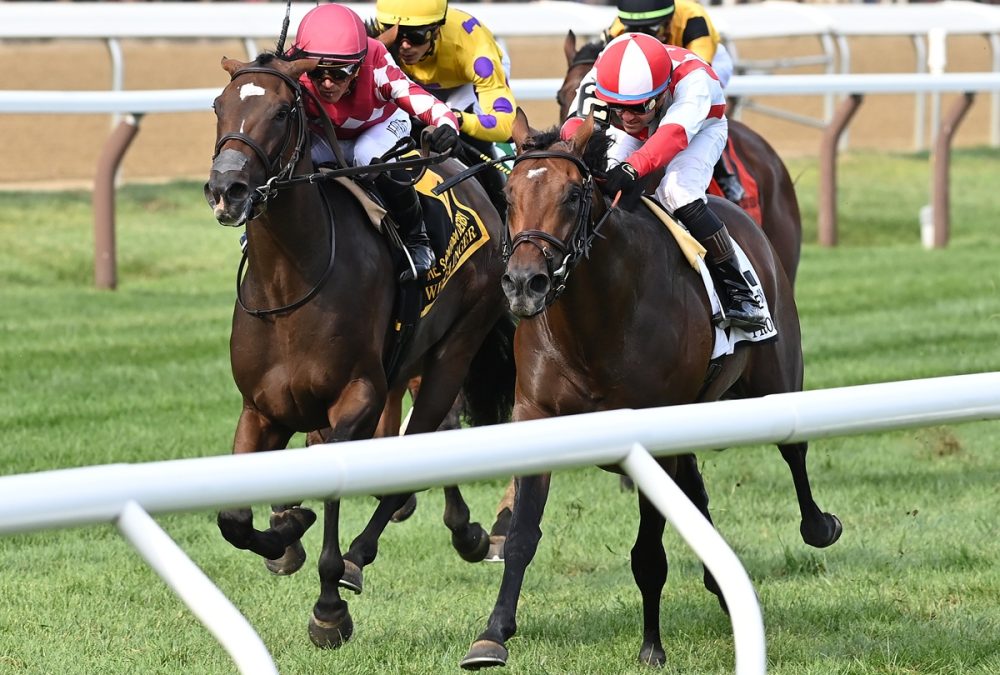 Program Trading - credit Joe Labozzetta - Coglianese Photo