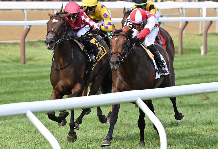 Program Trading - credit Joe Labozzetta - Coglianese Photo