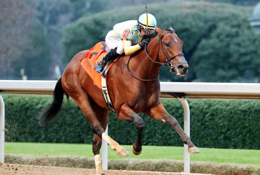 STRATEGIC RISK - Smarty Jones Stakes - Kara West -Coady Media