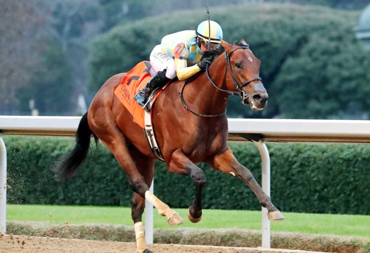 STRATEGIC RISK - Smarty Jones Stakes - Kara West -Coady Media