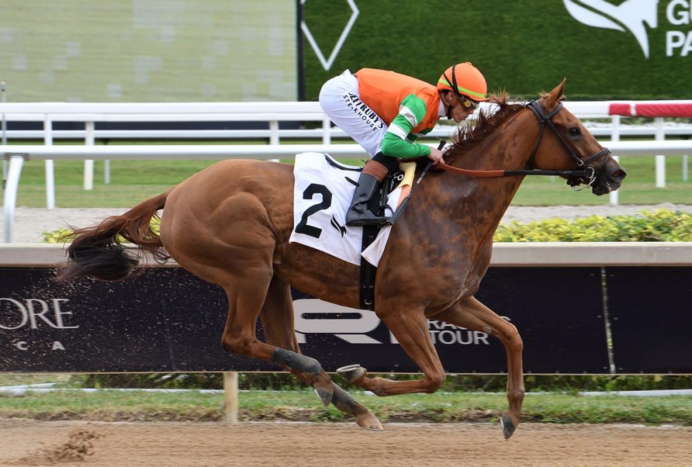 Senza Parole - Coglianese photo