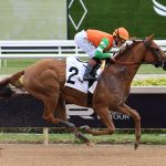 Senza Parole - Coglianese photo