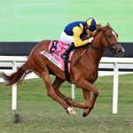 Sister Troienne the Sweetest Chant credit Lauren King - Coglianese Photo