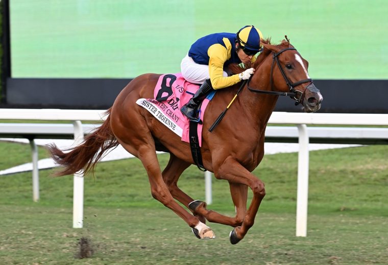 Sister Troienne the Sweetest Chant credit Lauren King - Coglianese Photo