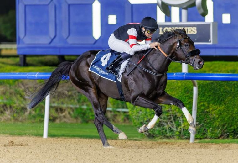 Six Speed - UAE 2000 Guineas - Meydan - Foto: Dubai Racing Club