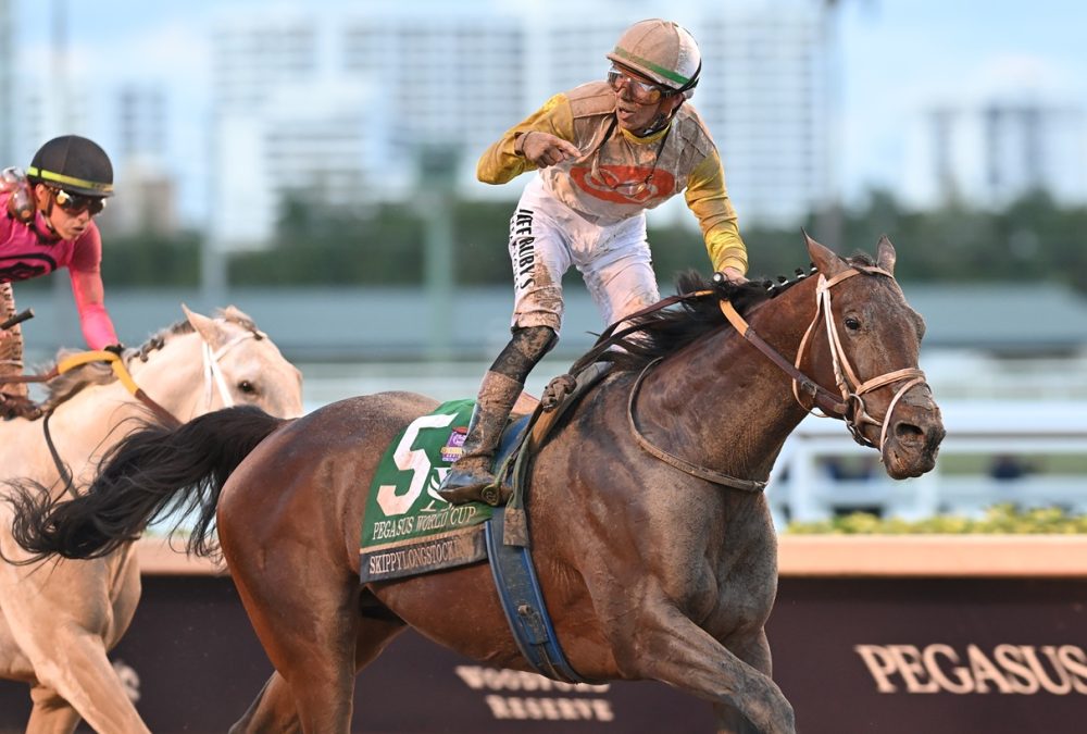 Skippylongstocking the Pegasus credit Lauren King