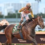 Skippylongstocking the Pegasus credit Lauren King