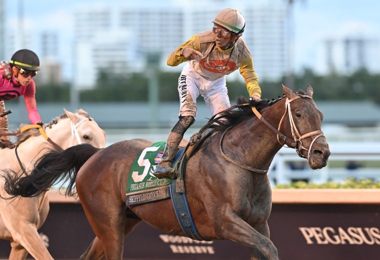 Skippylongstocking the Pegasus credit Lauren King