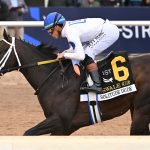 Solitude Dude the Swale credit Nicole Thomas - Coglianese Photo
